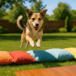 Beyond the Walk: A Beginner’s Guide to Canine Enrichment for a Happier Dog